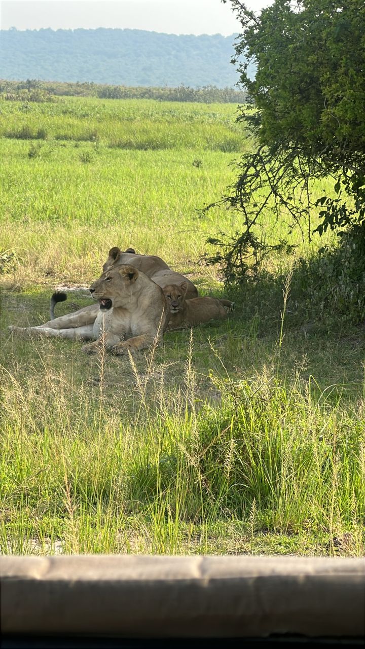 ℙ𝕣𝕚𝕕𝕖𝕣