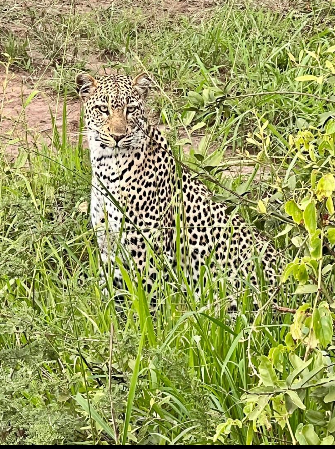 𝕆𝕟𝕝𝕪 𝕚𝕟 ℍ𝕠𝕞𝕖 𝕠𝕗 𝔹𝕚𝕘 𝔽𝕚𝕧𝕖