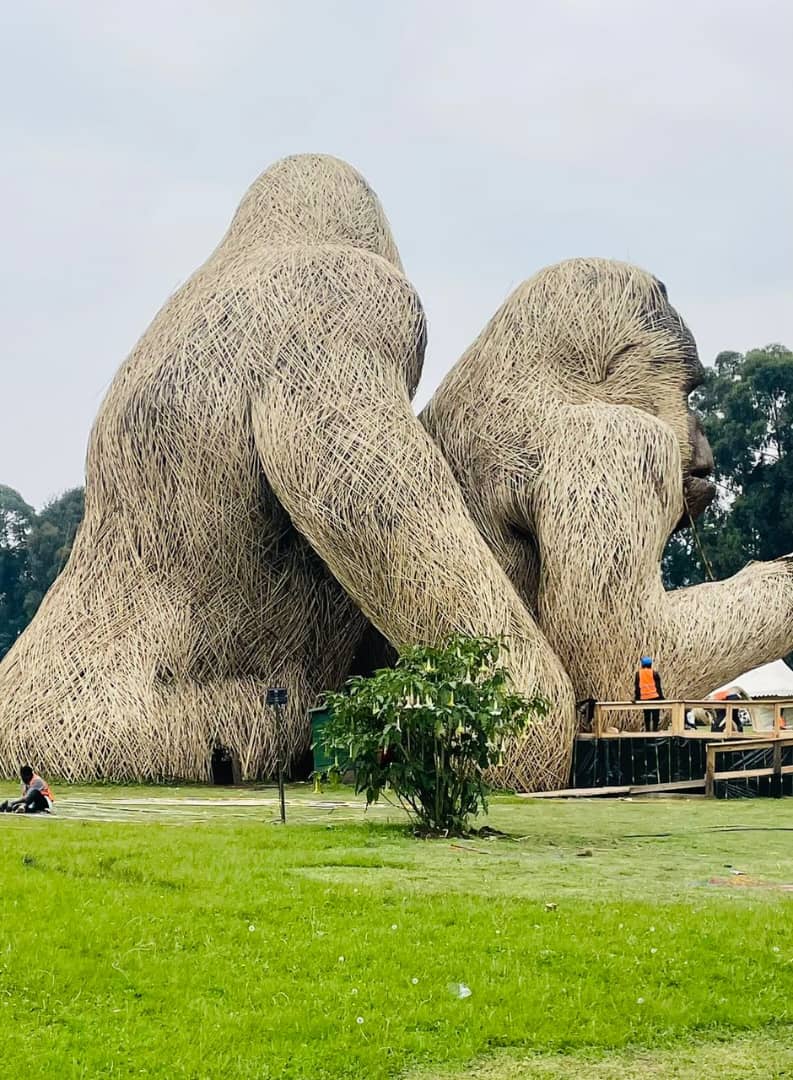 𝔾𝕠𝕣𝕚𝕝𝕝𝕒𝕤