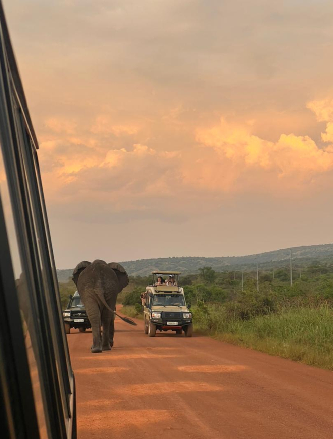 ℍ𝕒𝕡𝕡𝕪 ℍ𝕠𝕦𝕣