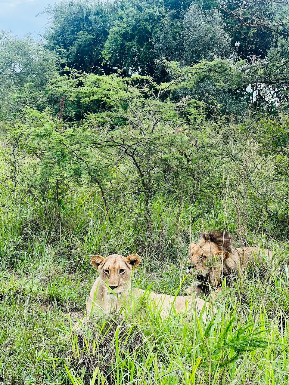 💠ℙ𝕣𝕚𝕕𝕖☣