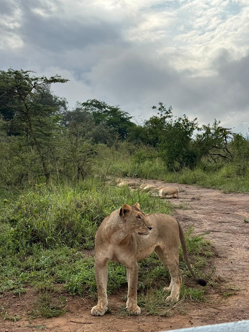 ℍ𝕖𝕣𝕤𝕖𝕝𝕗