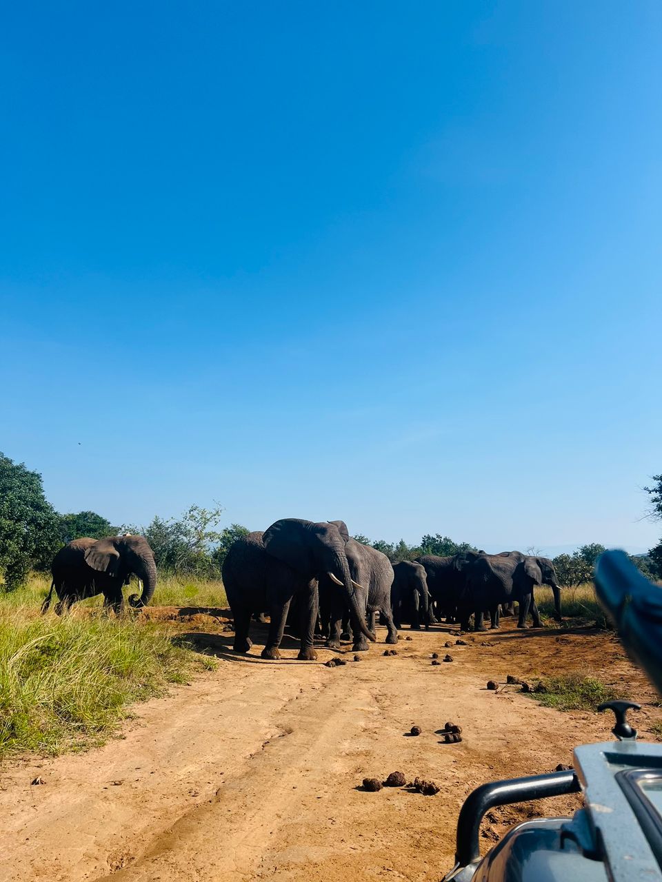 𝕎𝕚𝕝𝕕𝕟𝕖𝕤𝕤