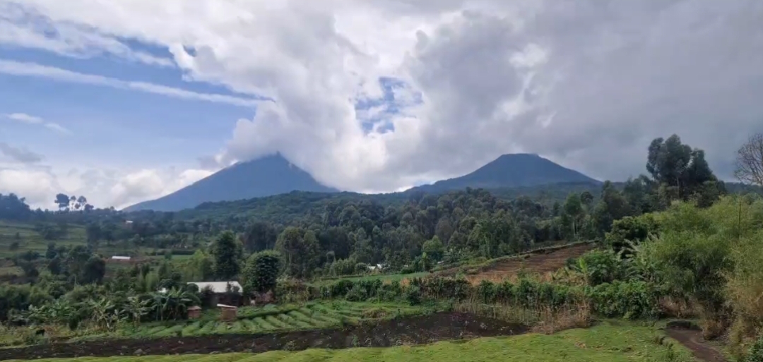 𝕄𝕠𝕦𝕟𝕥𝕒𝕚𝕟𝕤