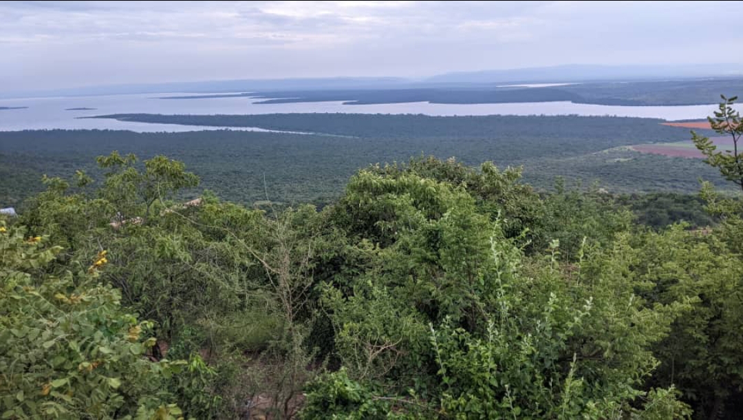 𝕃𝕒𝕜𝕖 𝕀𝕙𝕖𝕞𝕒