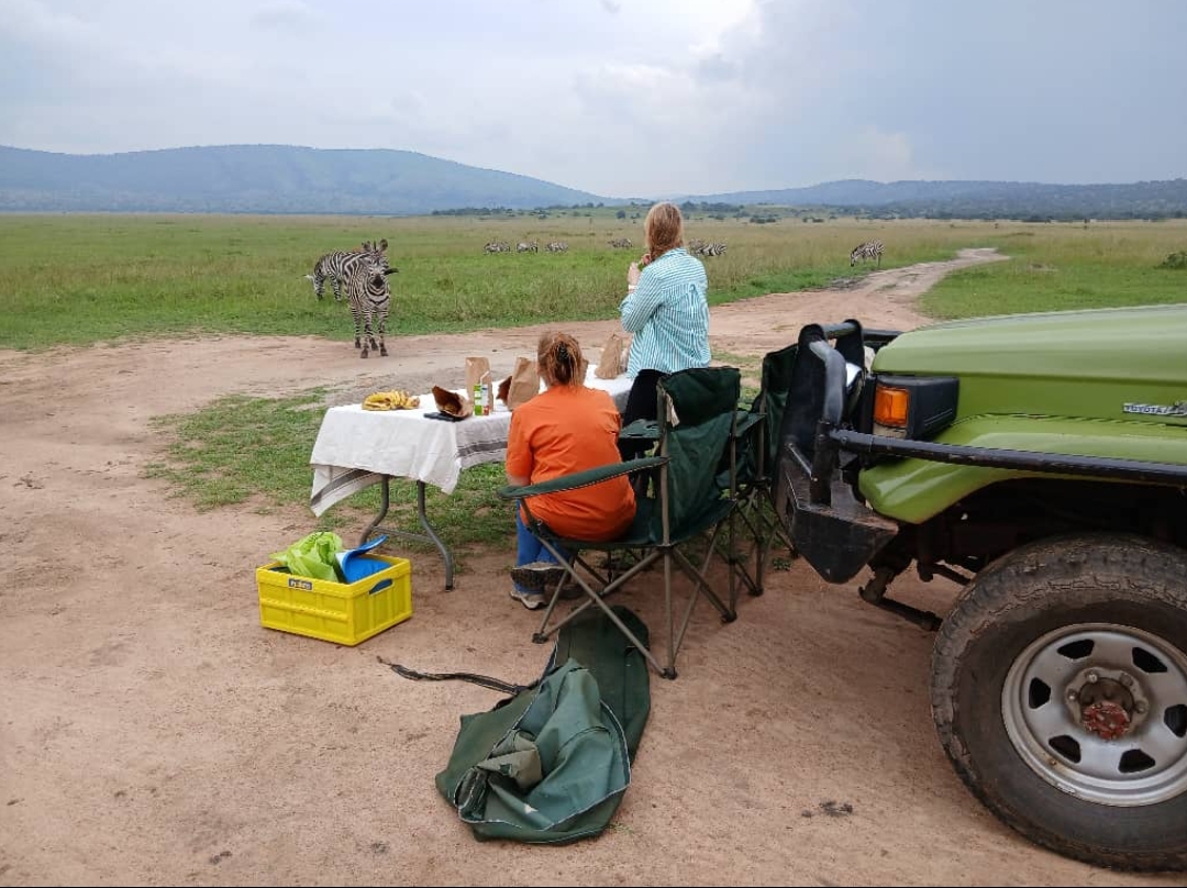 ℙ𝕚𝕔𝕚𝕟𝕚𝕔 𝔸𝕣𝕖𝕒