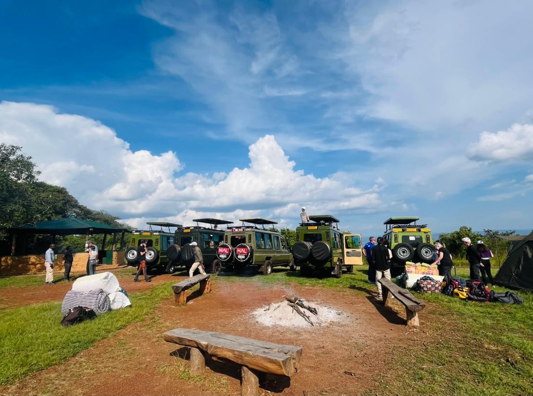 𝕎𝕚𝕝𝕕𝕟𝕖𝕤𝕤 𝕃𝕚𝕗𝕖