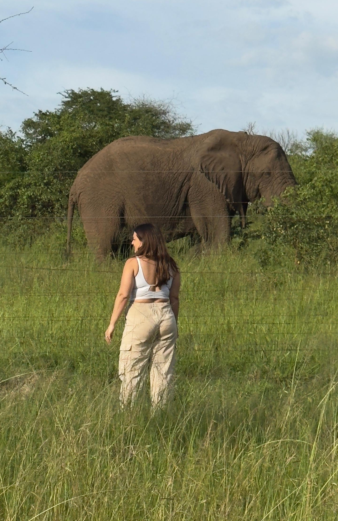 𝕊𝕒𝕧𝕒𝕟𝕟𝕒𝕙